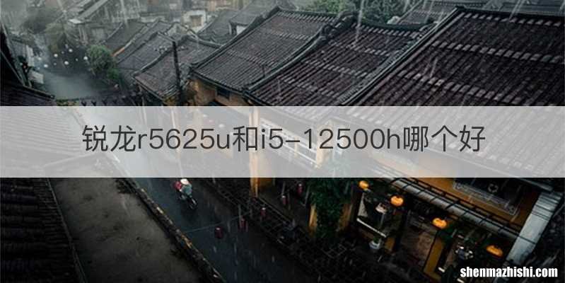 锐龙r5625u和i5-12500h哪个好