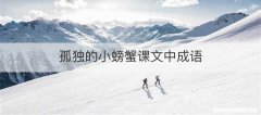 孤独的小螃蟹课文中成语