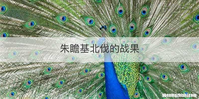 朱瞻基北伐的战果