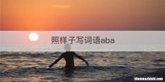 照样子写词语aba