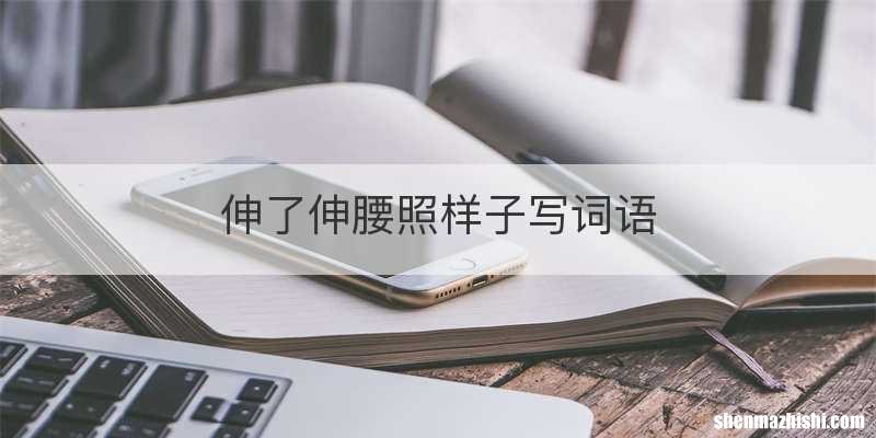 伸了伸腰照样子写词语