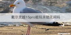戴尔灵越15pro能玩永劫无间吗