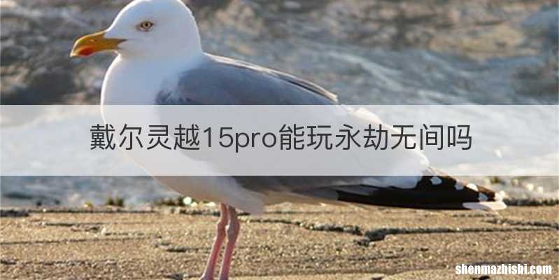 戴尔灵越15pro能玩永劫无间吗