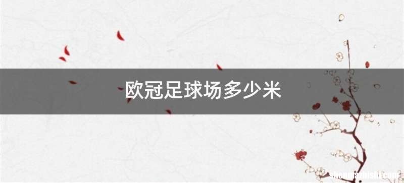 欧冠足球场多少米