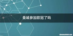 曼城参加欧冠了吗