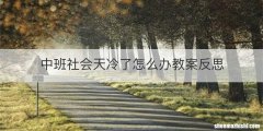 中班社会天冷了怎么办教案反思
