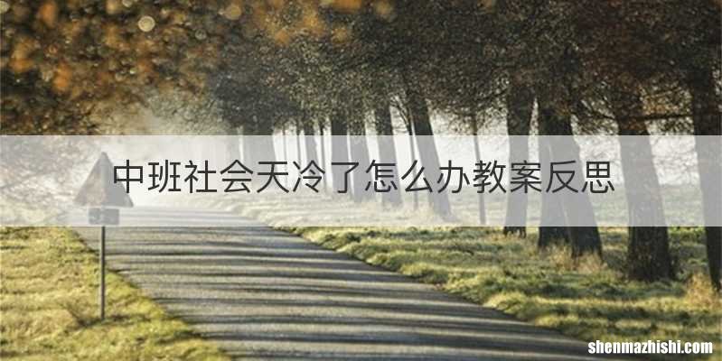 中班社会天冷了怎么办教案反思