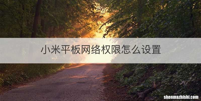 小米平板网络权限怎么设置
