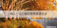 老人一日三餐的营养食谱大全