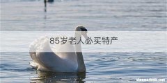 85岁老人必买特产