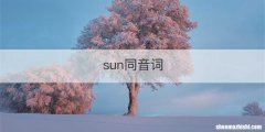 sun同音词