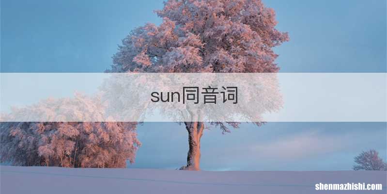 sun同音词