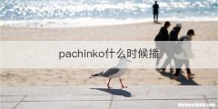 pachinko什么时候播