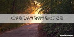 征求意见稿发给领导是批示还是