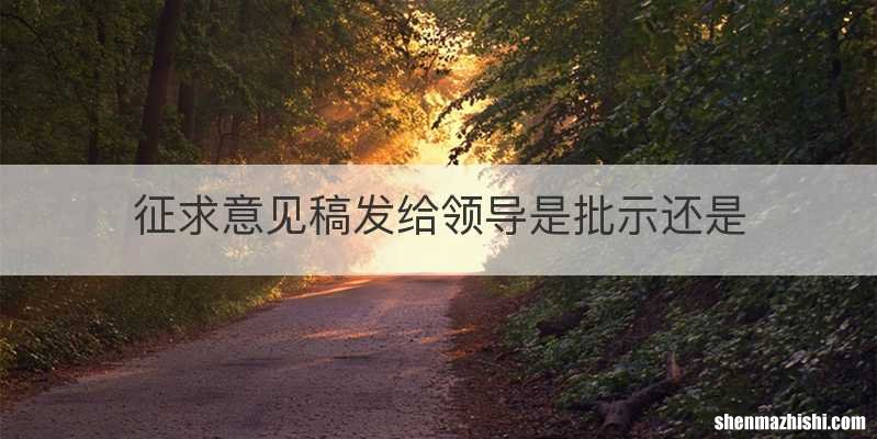 征求意见稿发给领导是批示还是