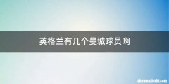 英格兰有几个曼城球员啊
