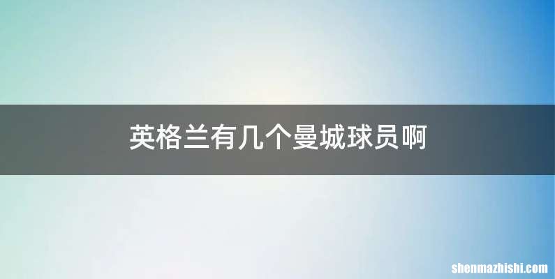 英格兰有几个曼城球员啊