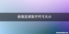 标准足球架子尺寸大小