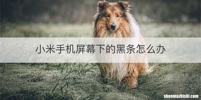 小米手机屏幕下的黑条怎么办