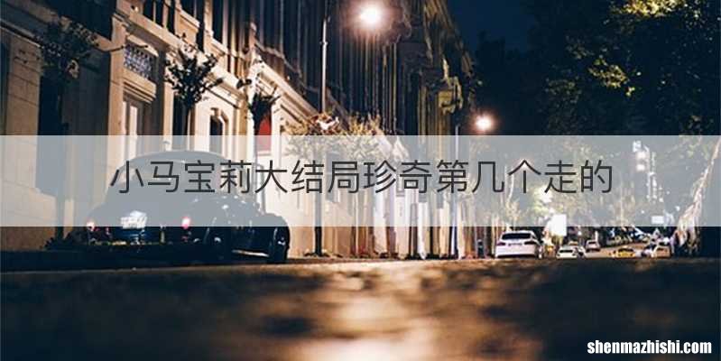 小马宝莉大结局珍奇第几个走的