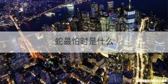 蛇最怕时是什么