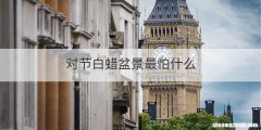 对节白蜡盆景最怕什么
