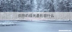 炽热的目光是形容什么