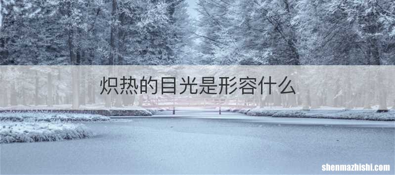 炽热的目光是形容什么