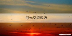 目光交流成语