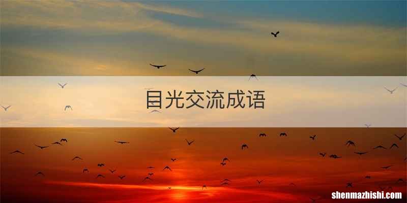 目光交流成语