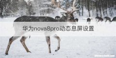 华为nova8pro动态息屏设置