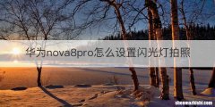 华为nova8pro怎么设置闪光灯拍照