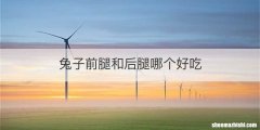 兔子前腿和后腿哪个好吃