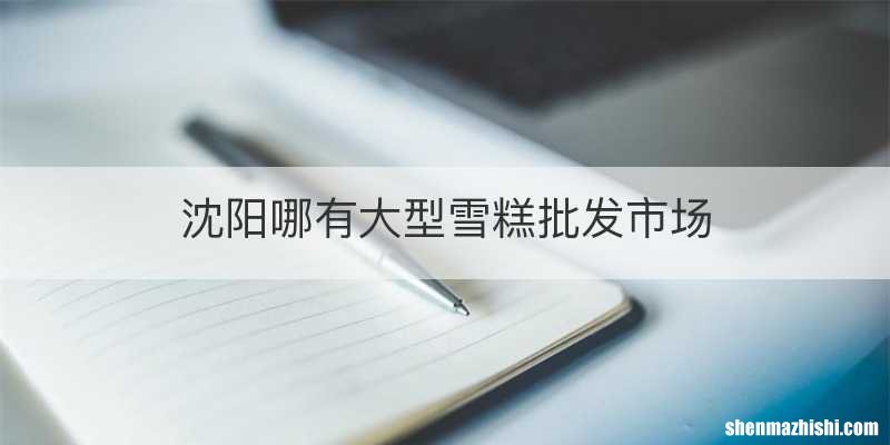 沈阳哪有大型雪糕批发市场