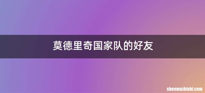 莫德里奇国家队的好友