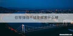 你琴弹得不错是腻害什么梗