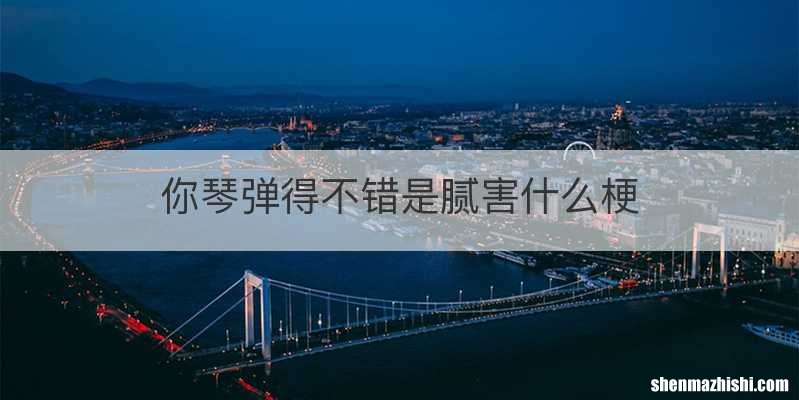 你琴弹得不错是腻害什么梗