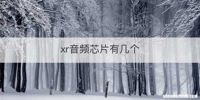 xr音频芯片有几个