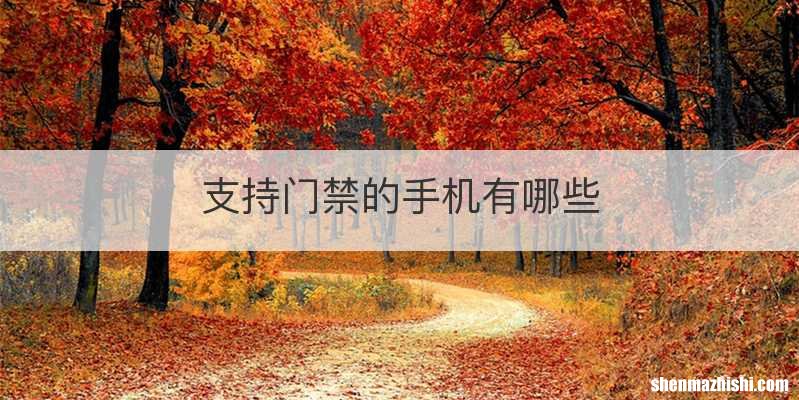 支持门禁的手机有哪些