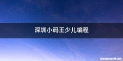 深圳小码王少儿编程