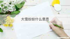 大雪纷纷什么意思