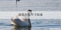 越南衣服尺寸标准