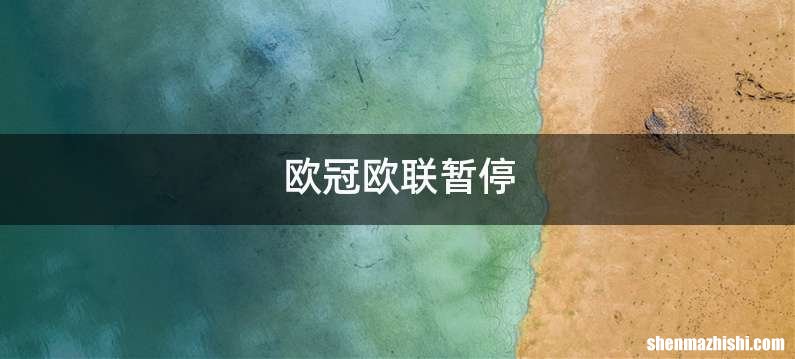 欧冠欧联暂停