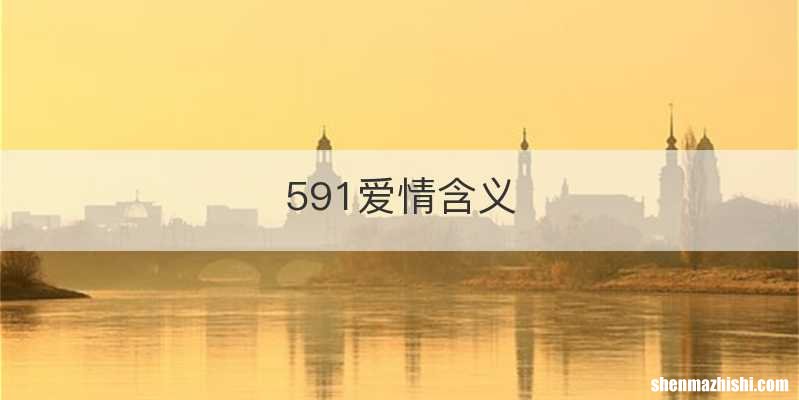 591爱情含义
