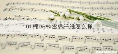 91棉95%含棉纤维怎么样