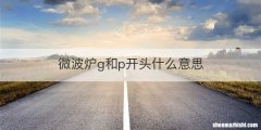微波炉g和p开头什么意思