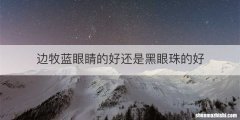边牧蓝眼睛的好还是黑眼珠的好