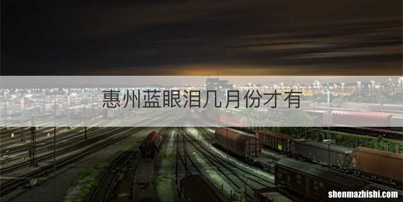 惠州蓝眼泪几月份才有