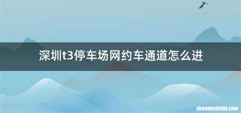 深圳t3停车场网约车通道怎么进