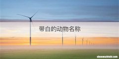 带白的动物名称